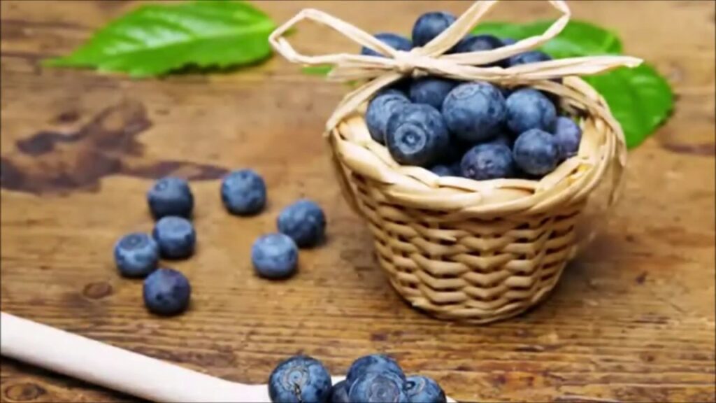 The Comprehensive Guide to the Benefits of Bilberry Supplements